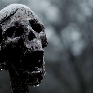 Bilder Viking Vengeance