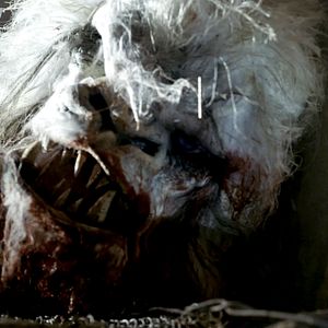 Bilder Viking Vengeance