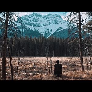 Bilder Cowboy Camembert