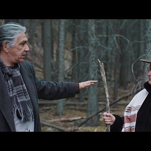 Bilder Cowboy Camembert