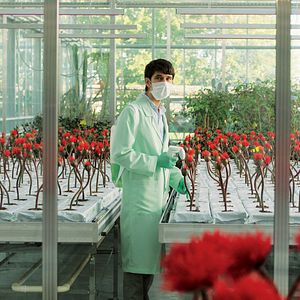 Bilder Little Joe - Glück ist ein Geschäft