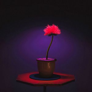 Bilder Little Joe - Glück ist ein Geschäft