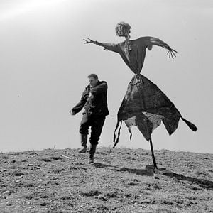 Bilder Weiße Karawane