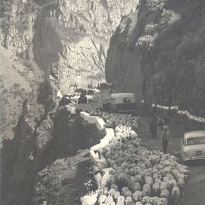 Bilder Weiße Karawane