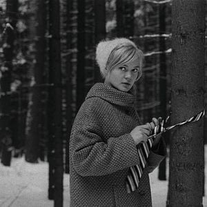 Bilder Hana Brejchová