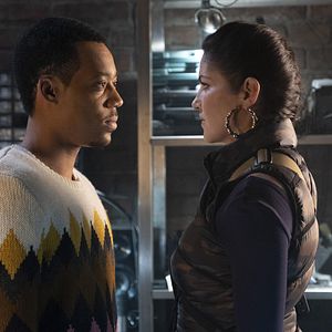 Bilder Whiskey Cavalier