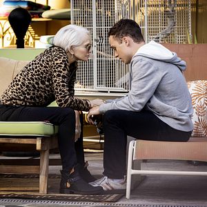 Bilder Animal Kingdom