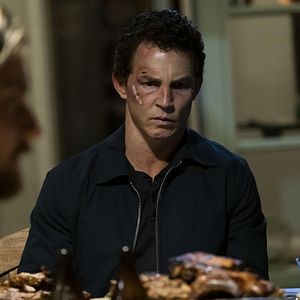 Bilder Animal Kingdom