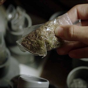 Bilder Visca la vida