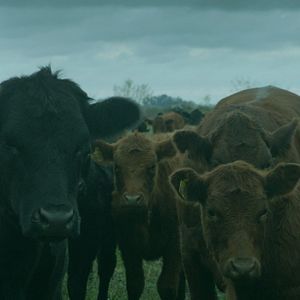 Bilder Monstruo Dios