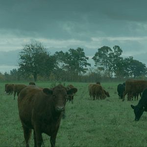 Bilder Monstruo Dios