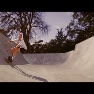 Bilder Don't Give A Fox