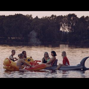 Bilder Don't Give A Fox