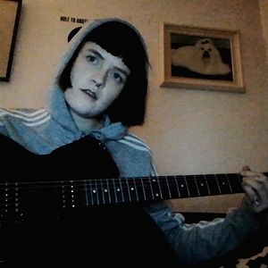 Bilder Don't Give A Fox