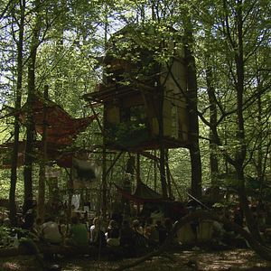 Bilder Die rote Linie – Vom Widerstand im Hambacher Forst