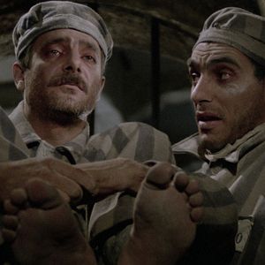 Bilder Sieben Schönheiten