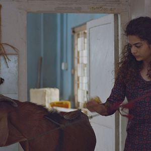 Bilder Mithila Palkar