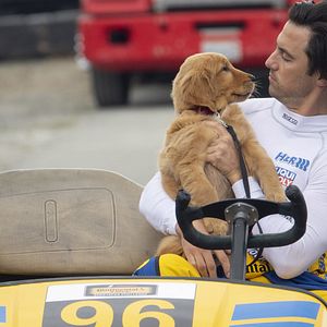 Bilder Milo Ventimiglia