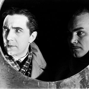 Bilder Die schwarze Katze