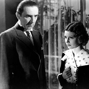 Bilder Die schwarze Katze