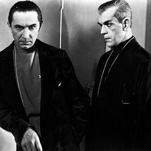 Bilder Die schwarze Katze