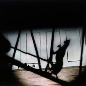 Bilder Die schwarze Katze