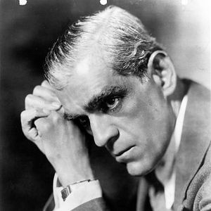 Bilder Die schwarze Katze