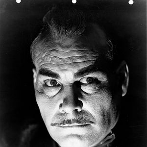 Bilder Die schwarze Katze