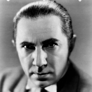 Bilder Die schwarze Katze