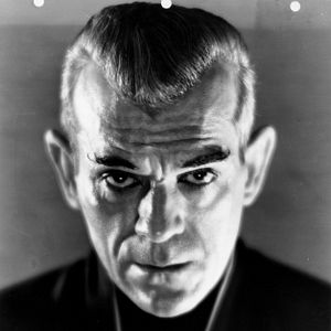 Bilder Die schwarze Katze