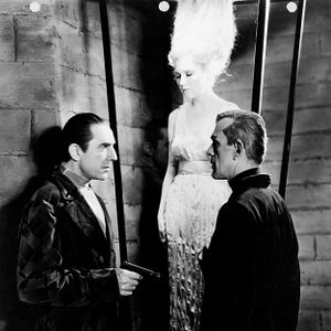 Bilder Die schwarze Katze