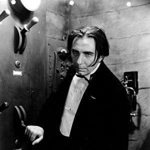 Bilder Die schwarze Katze