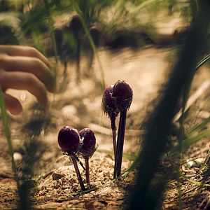 Bilder Ich liebe alles, was ich an dir hasse