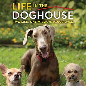 Bilder Life in the Doghouse