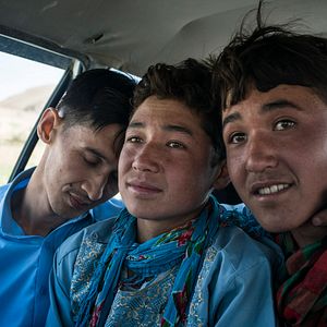 Bilder Heart of Stone