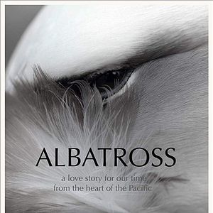 Bilder Albatross