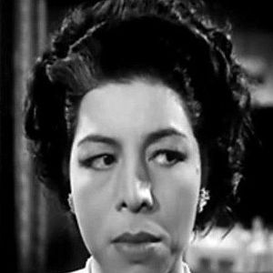 Bilder Zouzou Hamdy El-Hakim