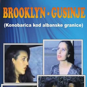 Bilder Brooklyn-Gusinje