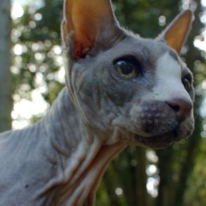 Bilder Friedhof am Ende der Welt