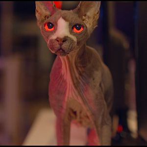 Bilder Friedhof am Ende der Welt