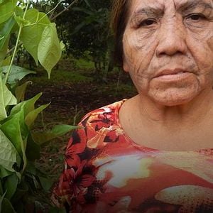 Bilder Bimi Shu Ykaya