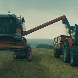 Bilder Das Land meines Vaters