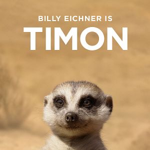 Bilder Der König der Löwen