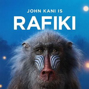 Bilder Der König der Löwen