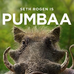 Bilder Der König der Löwen