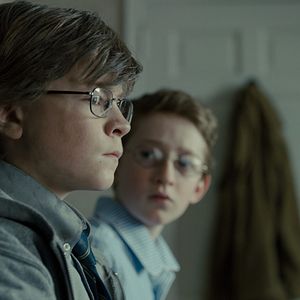 Bilder Der Distelfink