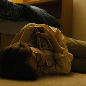 Bilder Der Distelfink