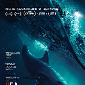 Bilder Sea of Shadows - Der Kampf um das Kokain des Meeres