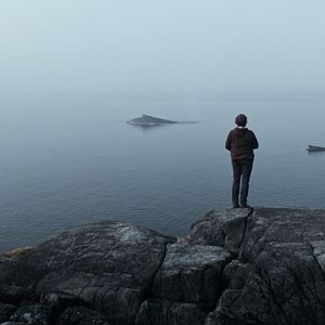 Bilder The Whale And The Raven