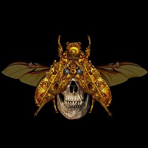 Bilder Blood & Treasure